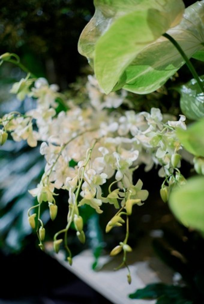 AN UNDERSTATED WEDDING ADORNED WITH GREENERY by Wong Hang Distinguished Tailor - 005