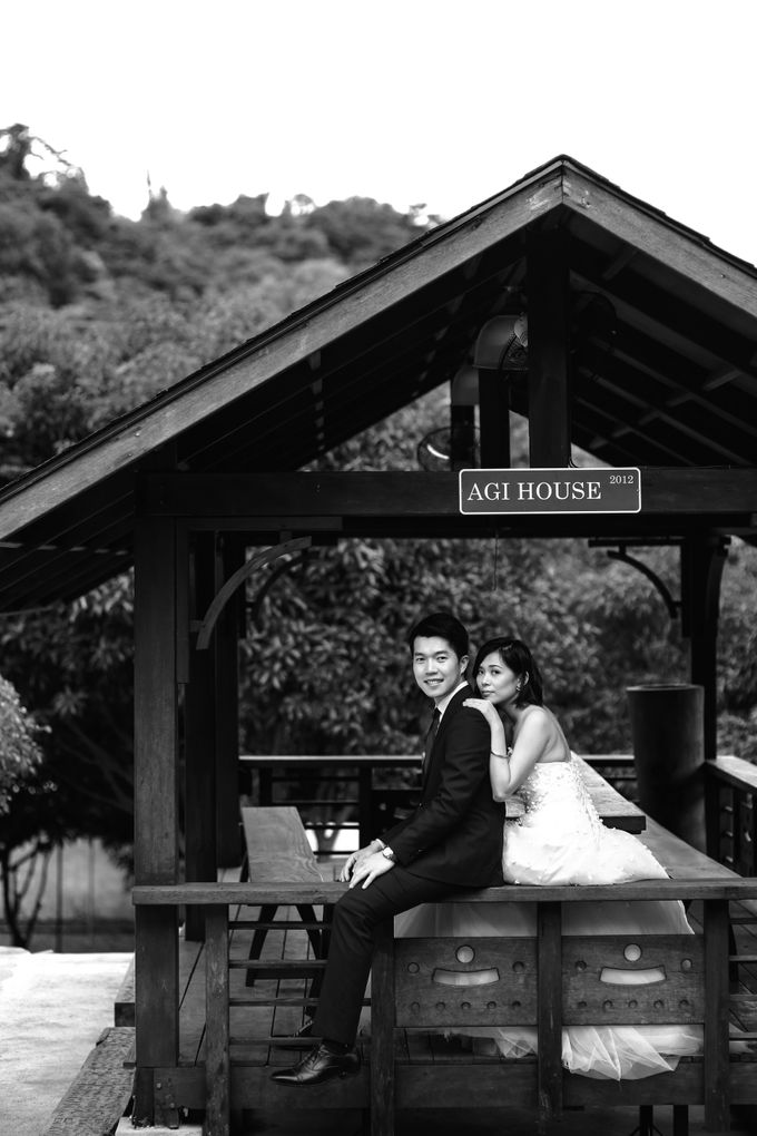 ENGAGEMENT | Lee & April at Casa Bendita by Honeycomb PhotoCinema - 015 ENGAGEMENT | Lee & April at Casa Bendita by Honeycomb PhotoCinema - 015