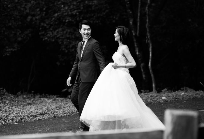 ENGAGEMENT | Lee & April at Casa Bendita by Honeycomb PhotoCinema - 006 ENGAGEMENT | Lee & April at Casa Bendita by Honeycomb PhotoCinema - 006