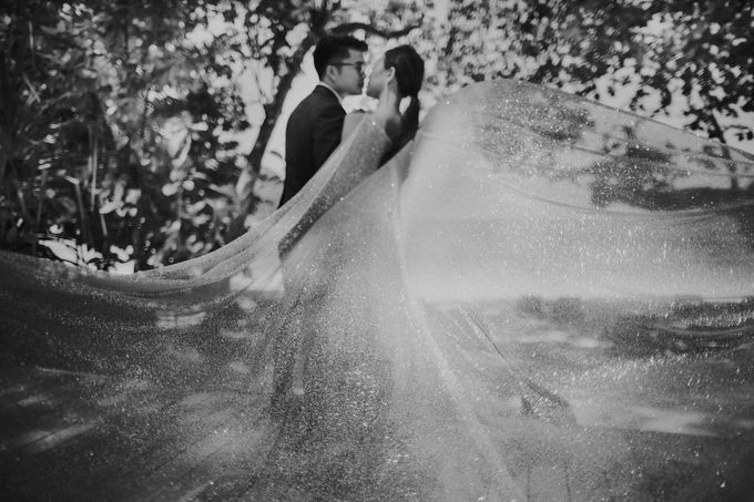 Eugene & Ann by ARTURE PHOTOGRAPHY - 008 Eugene & Ann by ARTURE PHOTOGRAPHY - 008