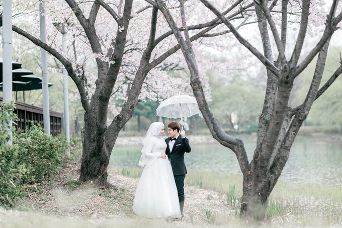 Prewedding Cherryblossom Korea Selatan by Value.photography - 005 Prewedding Cherryblossom Korea Selatan by Value.photography - 005