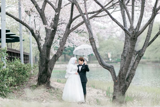 Prewedding Cherryblossom  Korea Selatan by Value.photography - 005