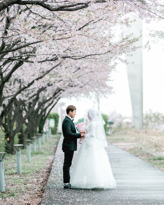 Prewedding Cherryblossom  Korea Selatan by Value.photography - 003