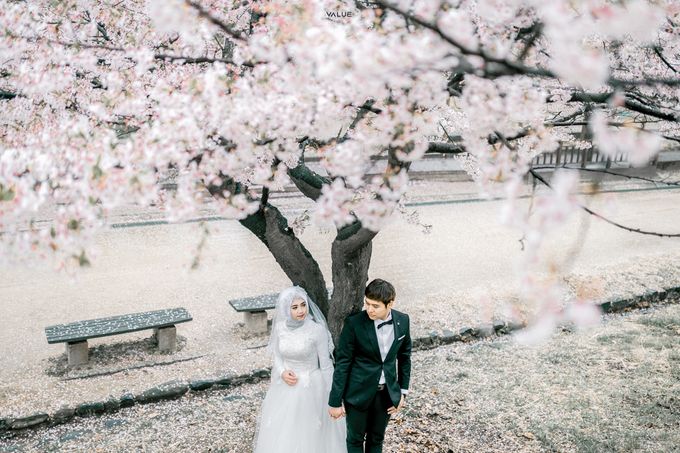 Prewedding Cherryblossom  Korea Selatan by Value.photography - 004