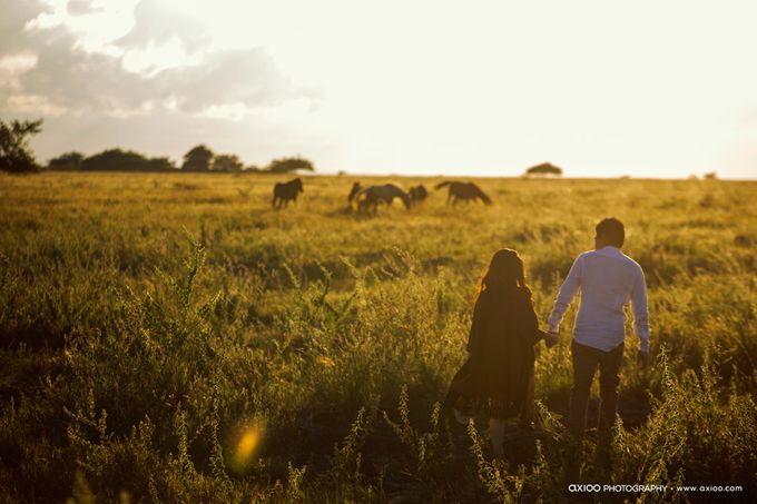 The Beauty of Sumba - Hutomo & Stephanie by Ivan by Axioo - 002 The Beauty of Sumba - Hutomo & Stephanie by Ivan by Axioo - 002