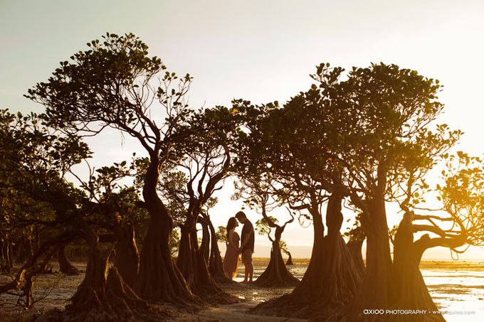 The Beauty of Sumba - Hutomo & Stephanie by Ivan by Axioo - 026 The Beauty of Sumba - Hutomo & Stephanie by Ivan by Axioo - 026