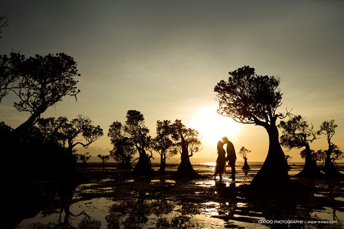 The Beauty of Sumba - Hutomo & Stephanie by Ivan by Axioo - 028 The Beauty of Sumba - Hutomo & Stephanie by Ivan by Axioo - 028