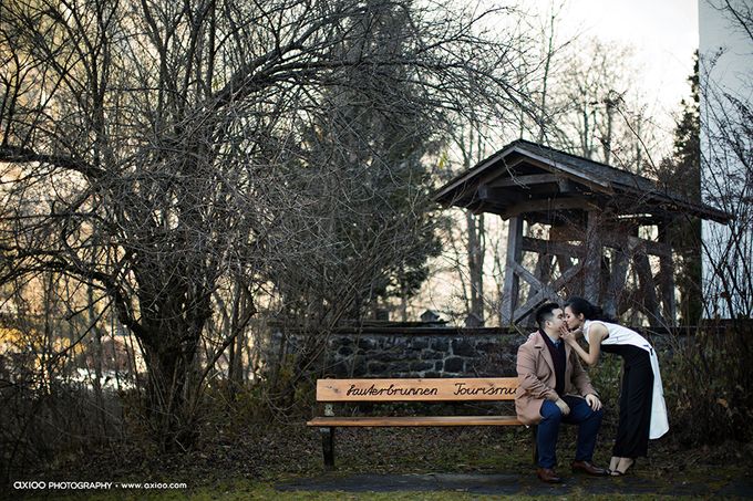A Swiss Memory - Raymond & Shierly Prewedding by Aha by Axioo - 030