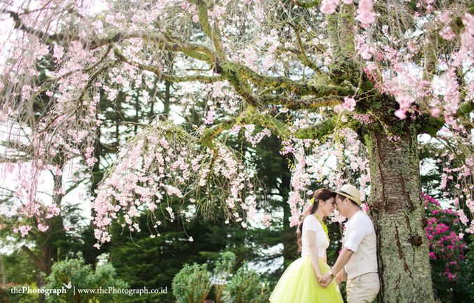 Pre Wedding of Suryandi & Hera by Team the Photograph by thePhotograph - 022 Pre Wedding of Suryandi & Hera by Team the Photograph by thePhotograph - 022