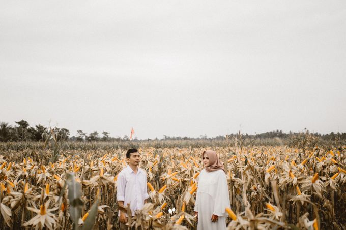 Asra by Indie Land - 023 Asra by Indie Land - 023