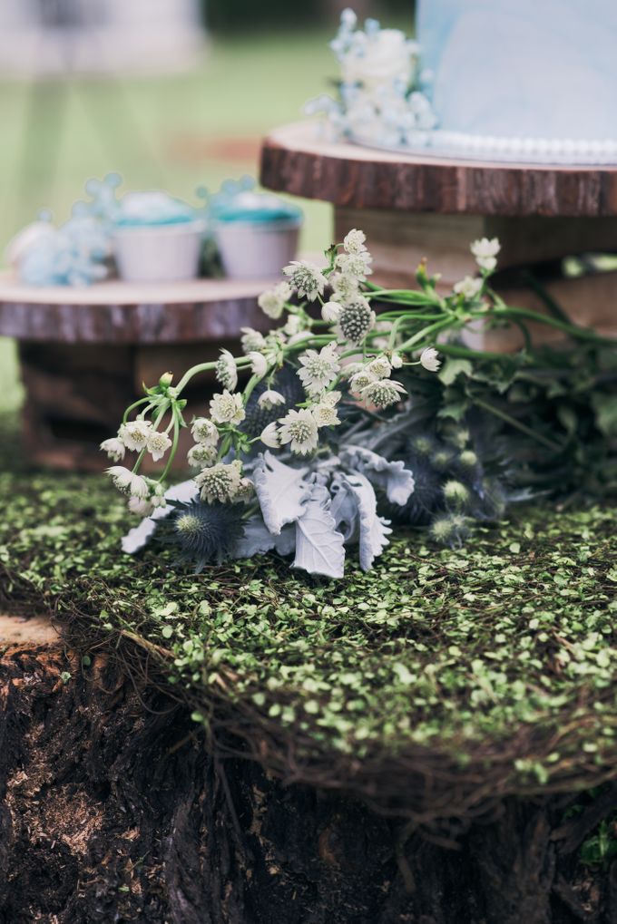 Dusty Blue Wintry Theme Styled Shoot with Bridestory by Ever & Blue Floral Design - 003 Dusty Blue Wintry Theme Styled Shoot with Bridestory by Ever & Blue Floral Design - 003