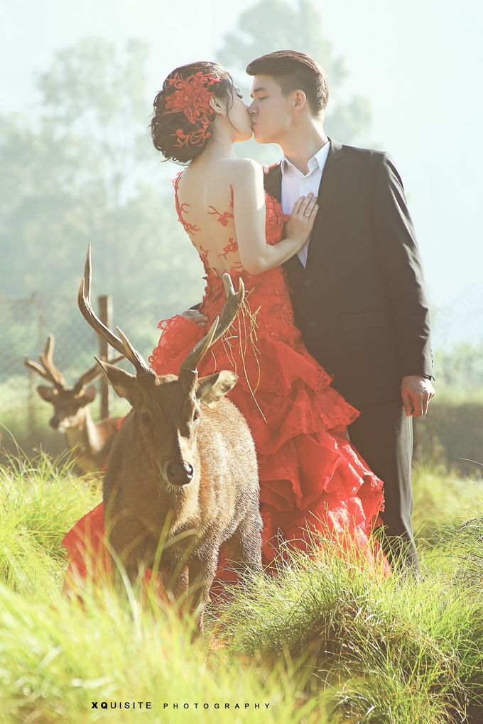 Prewedding Andre & Christine by XQuisite Photography - 016