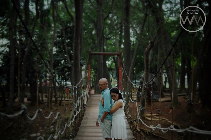 ENGAGEMENT / POSTWEDD / PREWEDD by pictures by OWMO - 003 ENGAGEMENT / POSTWEDD / PREWEDD by pictures by OWMO - 003