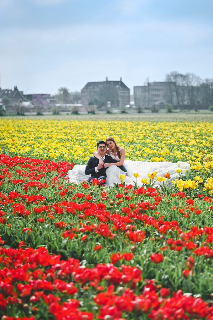Netherlands Cine + Pho by AllureWeddings by ALLUREWEDDINGS - 009 Netherlands Cine + Pho by AllureWeddings by ALLUREWEDDINGS - 009