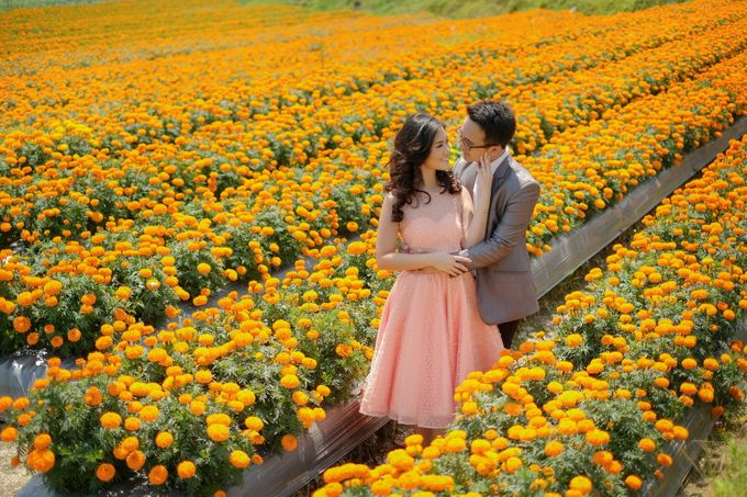 Prewedding of Nicho & Novi by Royal Photograph - 007 Prewedding of Nicho & Novi by Royal Photograph - 007