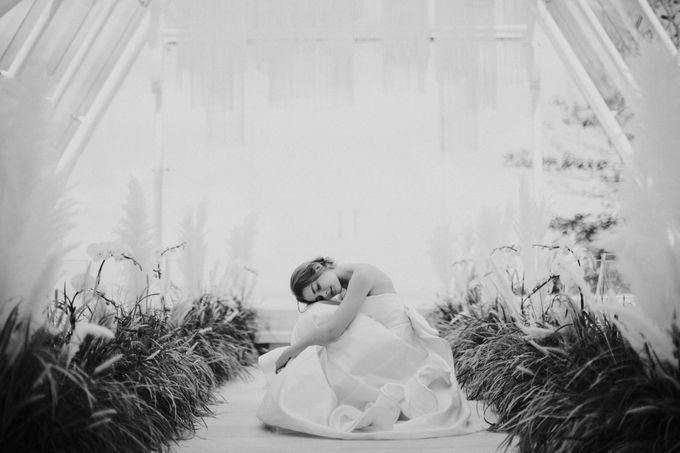 Environmental Friendly Concept Wedding decoration theme by Tirtha Bridal - 007 Environmental Friendly Concept Wedding decoration theme by Tirtha Bridal - 007