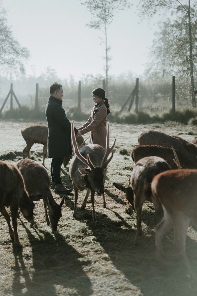 ALFONSO & WINA - BANDUNG by AB Photographs - 007 ALFONSO & WINA - BANDUNG by AB Photographs - 007
