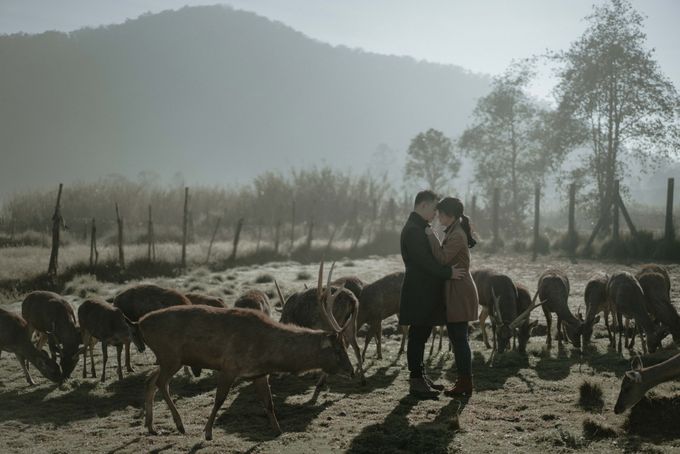 ALFONSO & WINA - BANDUNG by AB Photographs - 008 ALFONSO & WINA - BANDUNG by AB Photographs - 008