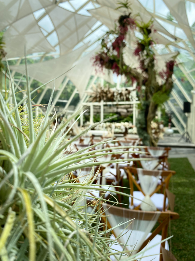 WO Amaryllis Puncak - R & B by Amaryllis Boutique Resort - 005
