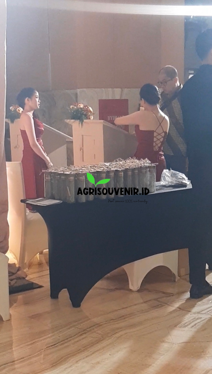 Plant souvenir for wedding Mr. William and Mrs. Anita by Agrisouvenir.id - 002 Plant souvenir for wedding Mr. William and Mrs. Anita by Agrisouvenir.id - 002