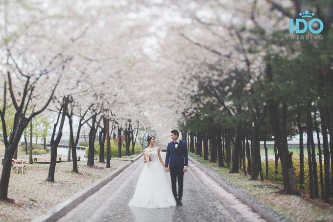 Seoul Destination Outdoor Photography by IDOWEDDING - 007