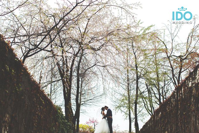 Seoul Destination Outdoor Photography by IDOWEDDING - 019