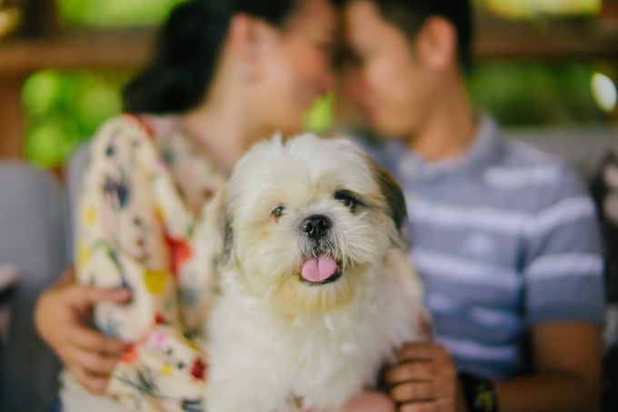 Eric & Marivic Engagement Session by James Morrison Photo - 001