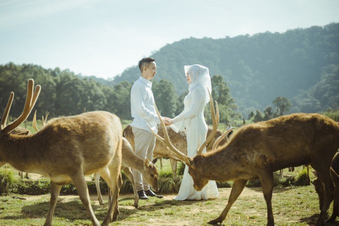 Prewedd Galih n Fajri by Atama Photo - 003 Prewedd Galih n Fajri by Atama Photo - 003