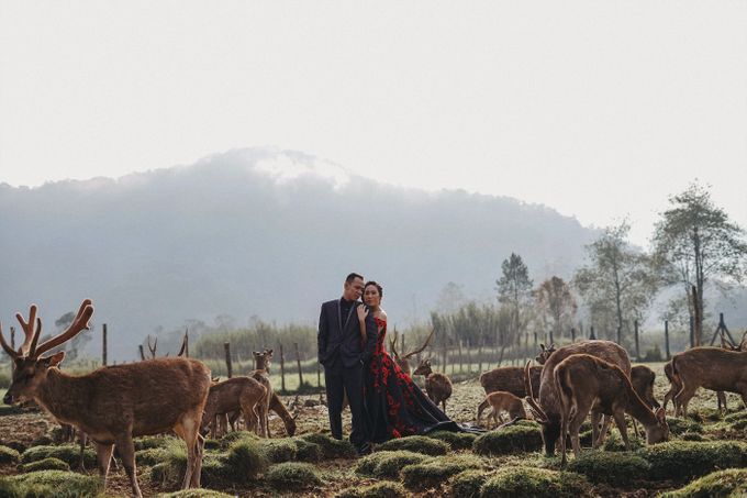 Prewedding Grisela & Hendra by ALLANO PHOTOGRAPHY - 005