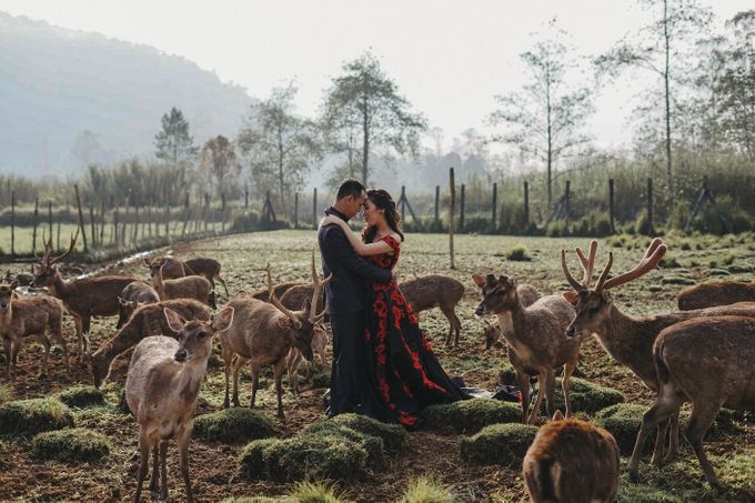 Prewedding Grisela & Hendra by ALLANO PHOTOGRAPHY - 008 Prewedding Grisela & Hendra by ALLANO PHOTOGRAPHY - 008
