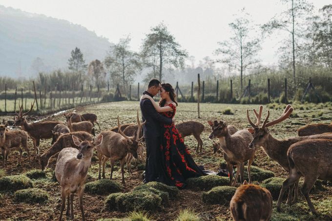 Prewedding Grisela & Hendra by ALLANO PHOTOGRAPHY - 008