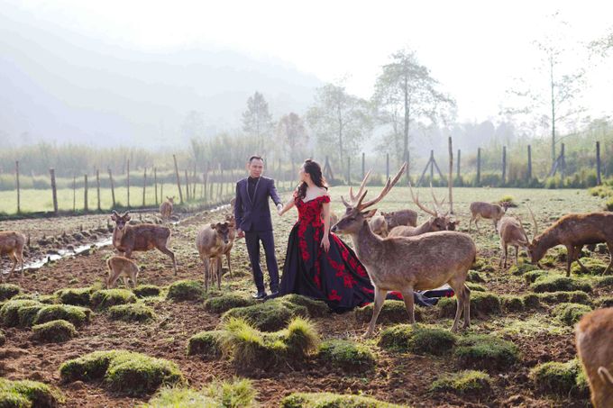 Prewedding Grisela & Hendra by ALLANO PHOTOGRAPHY - 002 Prewedding Grisela & Hendra by ALLANO PHOTOGRAPHY - 002