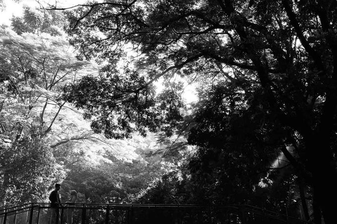 A Day with Ersha & Iwan by Jejakurcaci - 003 A Day with Ersha & Iwan by Jejakurcaci - 003
