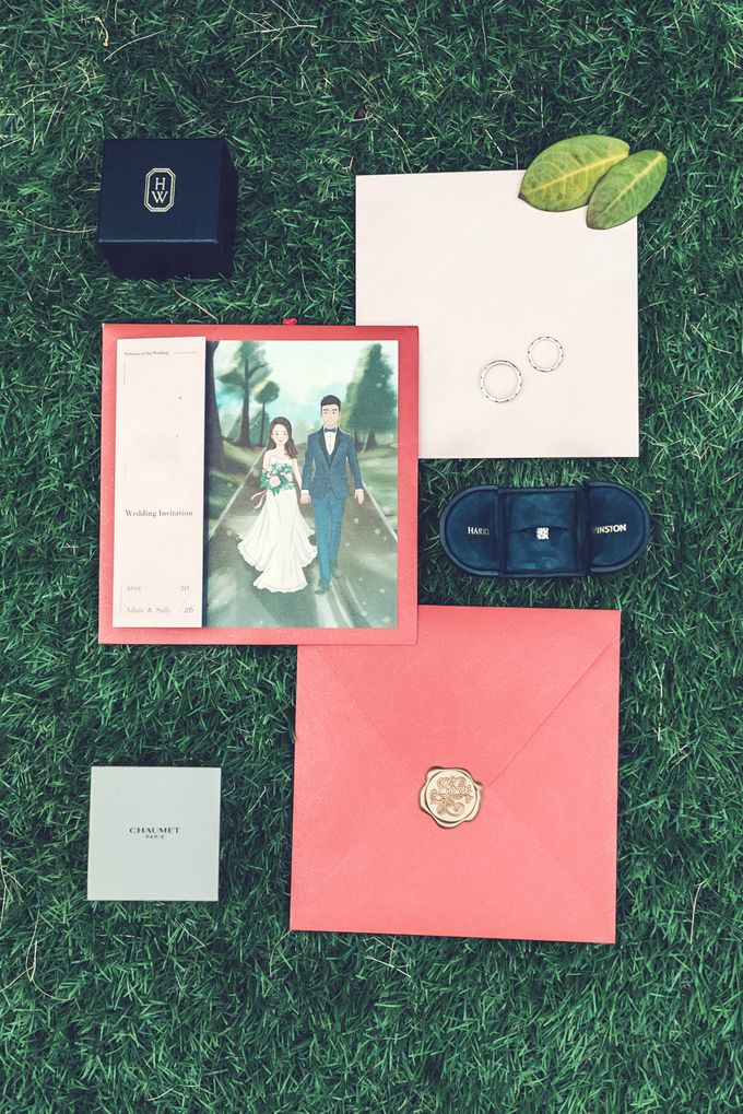 Adam & Sally Wedding Day by GoFotoVideo - 002 Adam & Sally Wedding Day by GoFotoVideo - 002
