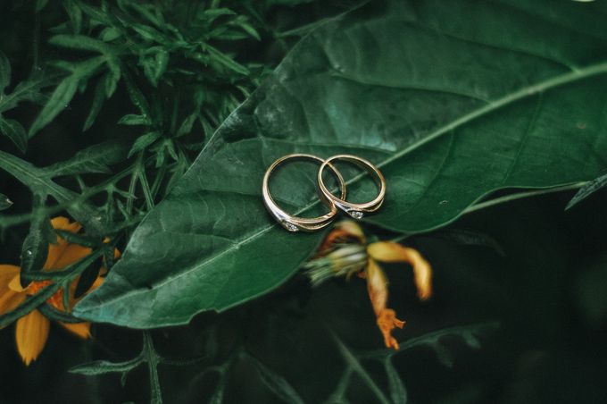 Wedding Collection by dapurmedia - 018