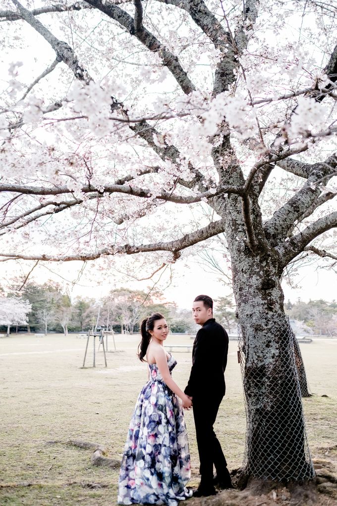 Pre WEdding Octa & Evelyn by Bondan Photoworks - 012 Pre WEdding Octa & Evelyn by Bondan Photoworks - 012