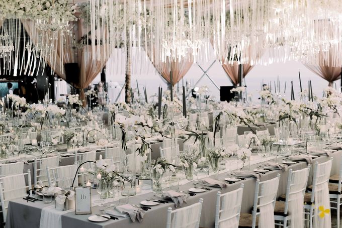 Classic Elegant by Designmill co. - 007 Classic Elegant by Designmill co. - 007
