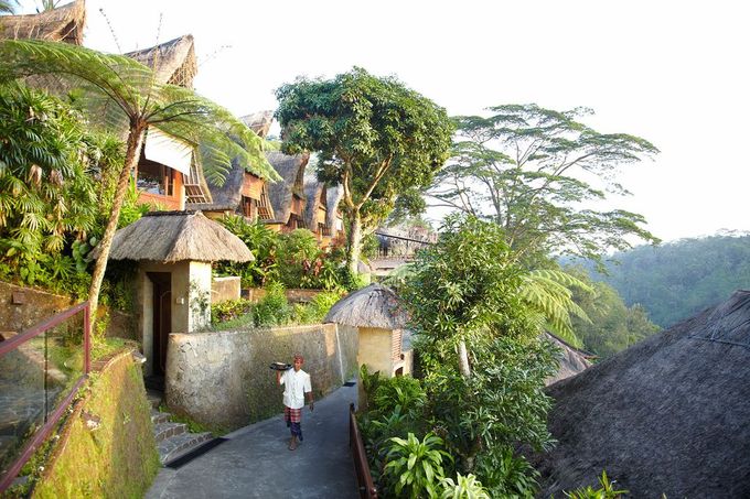Kupu-Kupu Barong Resorts & Spa by Kupu Kupu Barong Villas & Tree Spa by L'Occitane - 009 Kupu-Kupu Barong Resorts & Spa by Kupu Kupu Barong Villas & Tree Spa by L'Occitane - 009