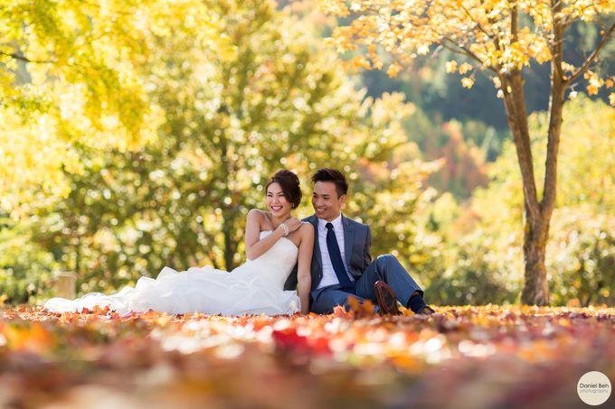 New Zealand pre-wedding by Daniel Beh Photography - 001 New Zealand pre-wedding by Daniel Beh Photography - 001