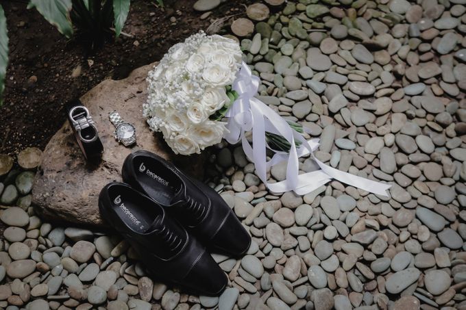 Ben & Joanne Wedding by Little Collins Photo - 015 Ben & Joanne Wedding by Little Collins Photo - 015