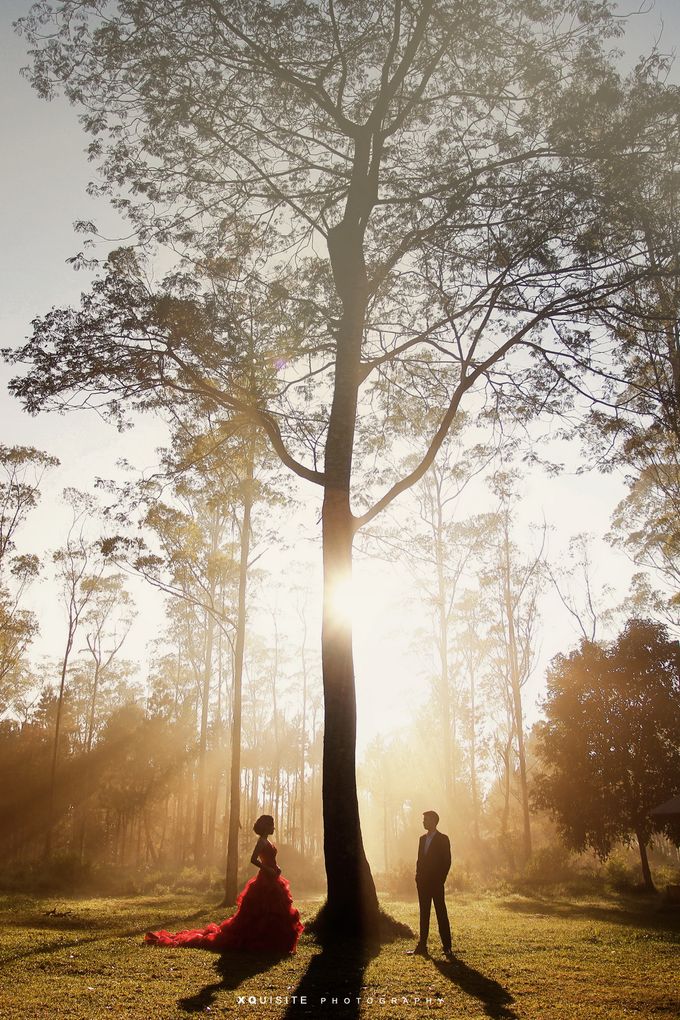 Prewedding Andre & Christine by XQuisite Photography - 006
