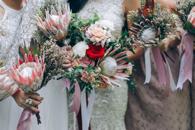 Protea Bloom by Everything With Crates - 002 Protea Bloom by Everything With Crates - 002