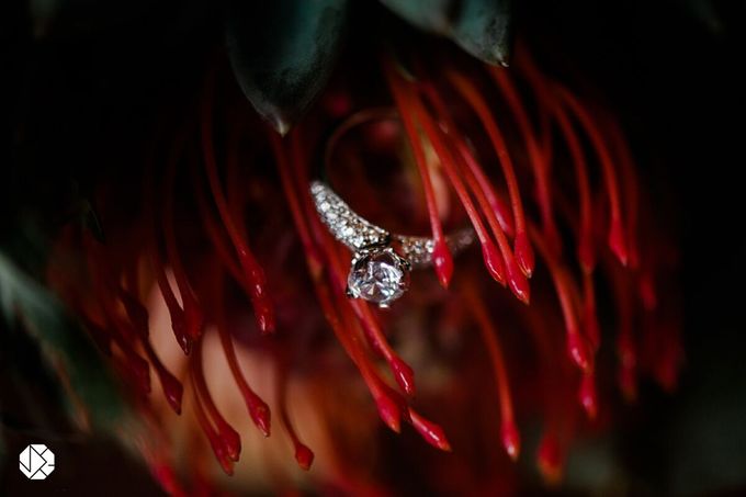 Engagement Rings Fall Bridal Editorial by Ocampo’s Fine Jewellery - 004