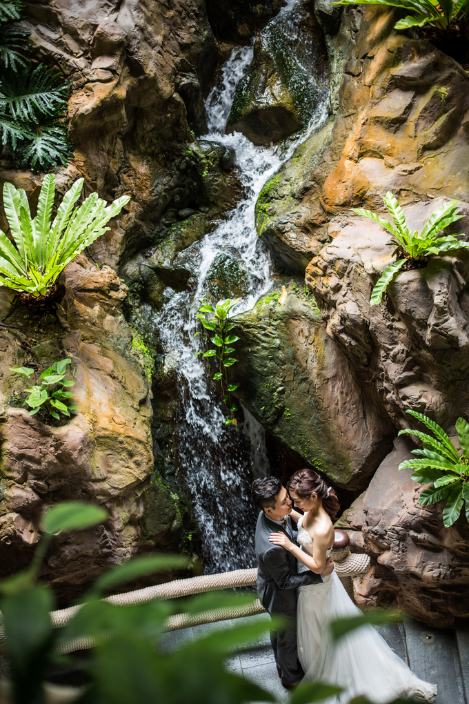 M&L pre wedding shoot by Cocoon makeup and hair - 003 M&L pre wedding shoot by Cocoon makeup and hair - 003