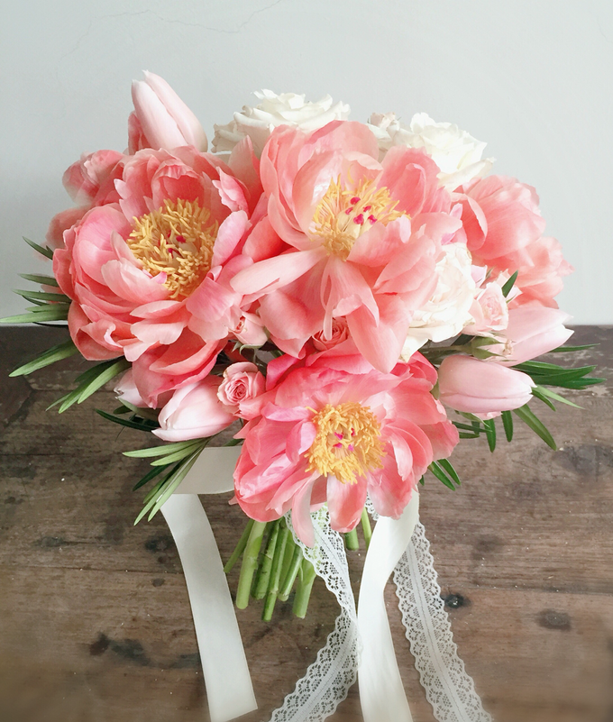 Coral by Fairy floral - 001 Coral by Fairy floral - 001