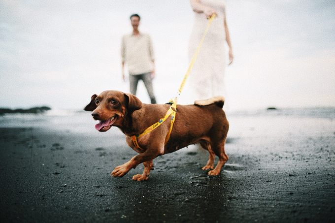 " k i t a " by unravel photograph - 005 " k i t a " by unravel photograph - 005