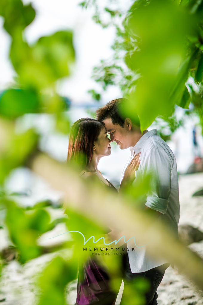 Pre wedding Shoot by memorymusk - 009 Pre wedding Shoot by memorymusk - 009
