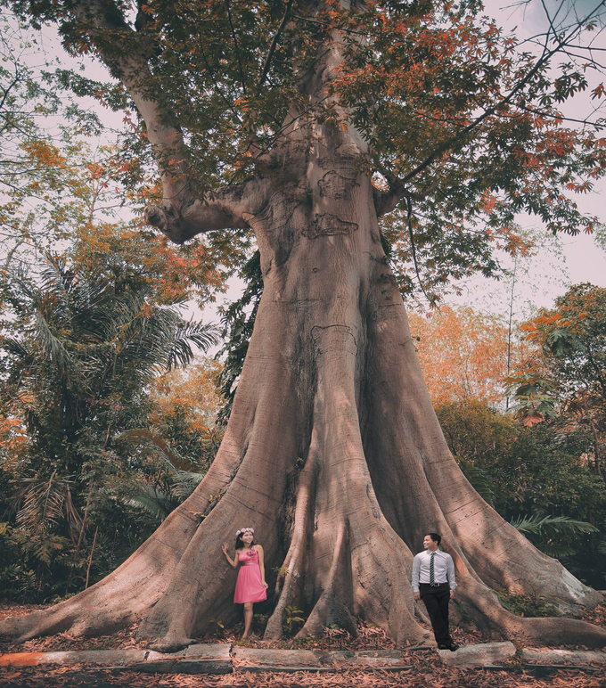 Mark + Kathleen by Waynet Motion - 007