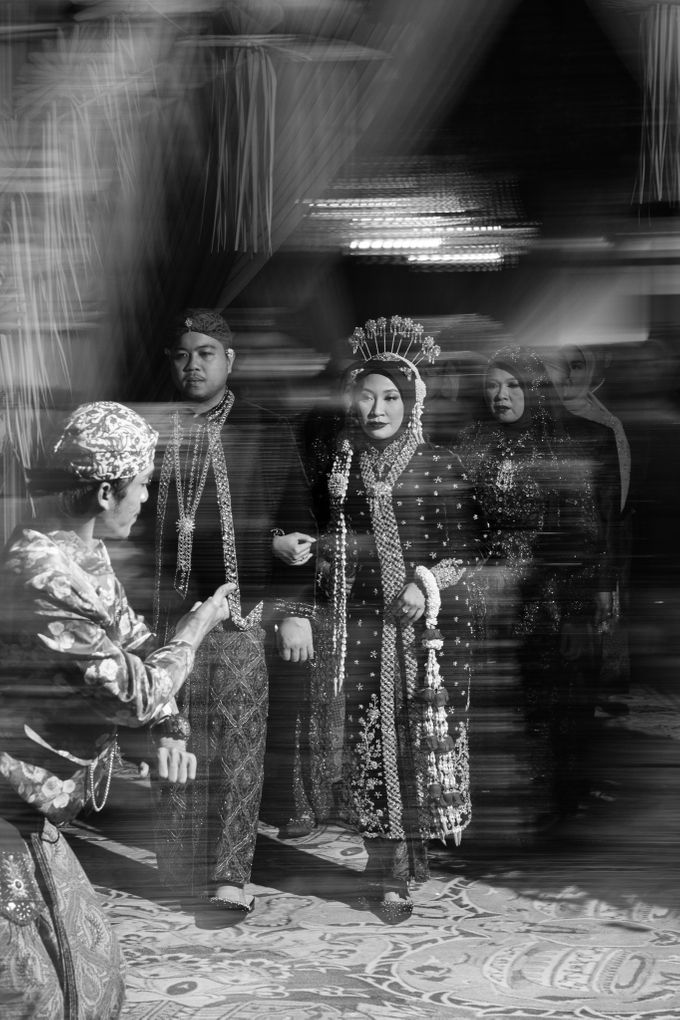 WEDDING P & M by Elfior Photo - 009