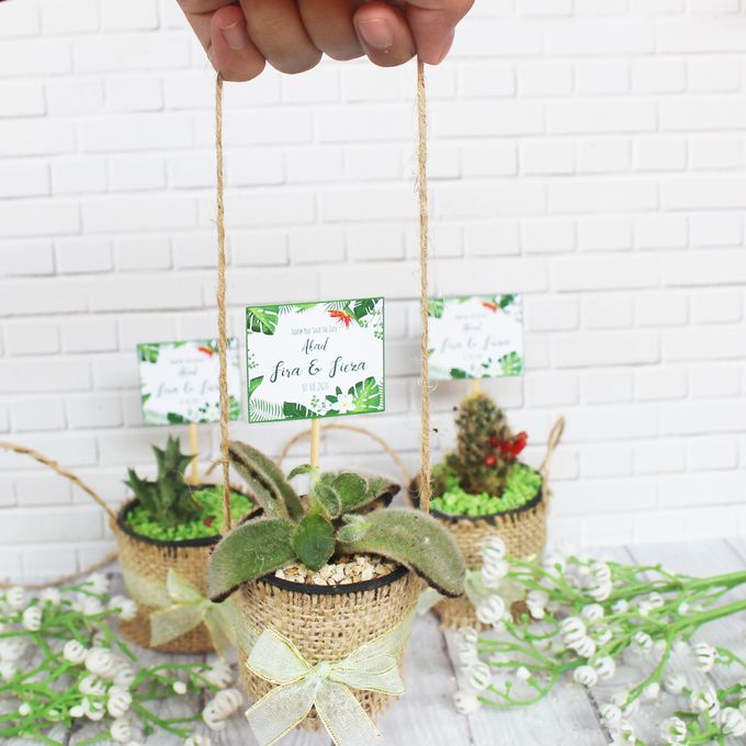 Wedding Fira & Fieza - Souvenir Sukulen Goni Pita by Greenbelle Souvenir - 004